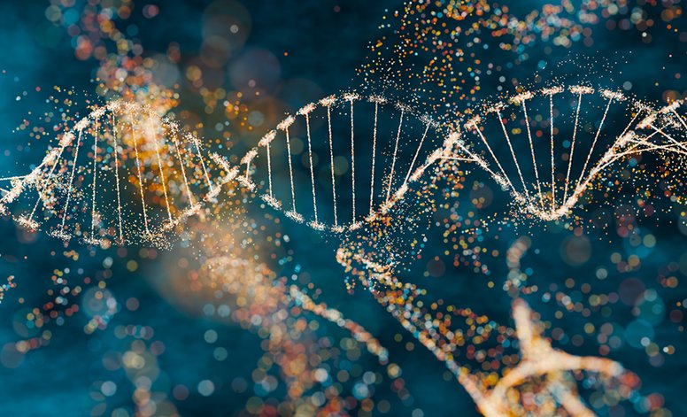 Introduction to Genetics: Understanding Heredity and DNA